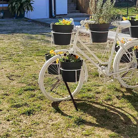 Barka Apartment